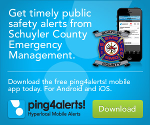 ping4alerts!
